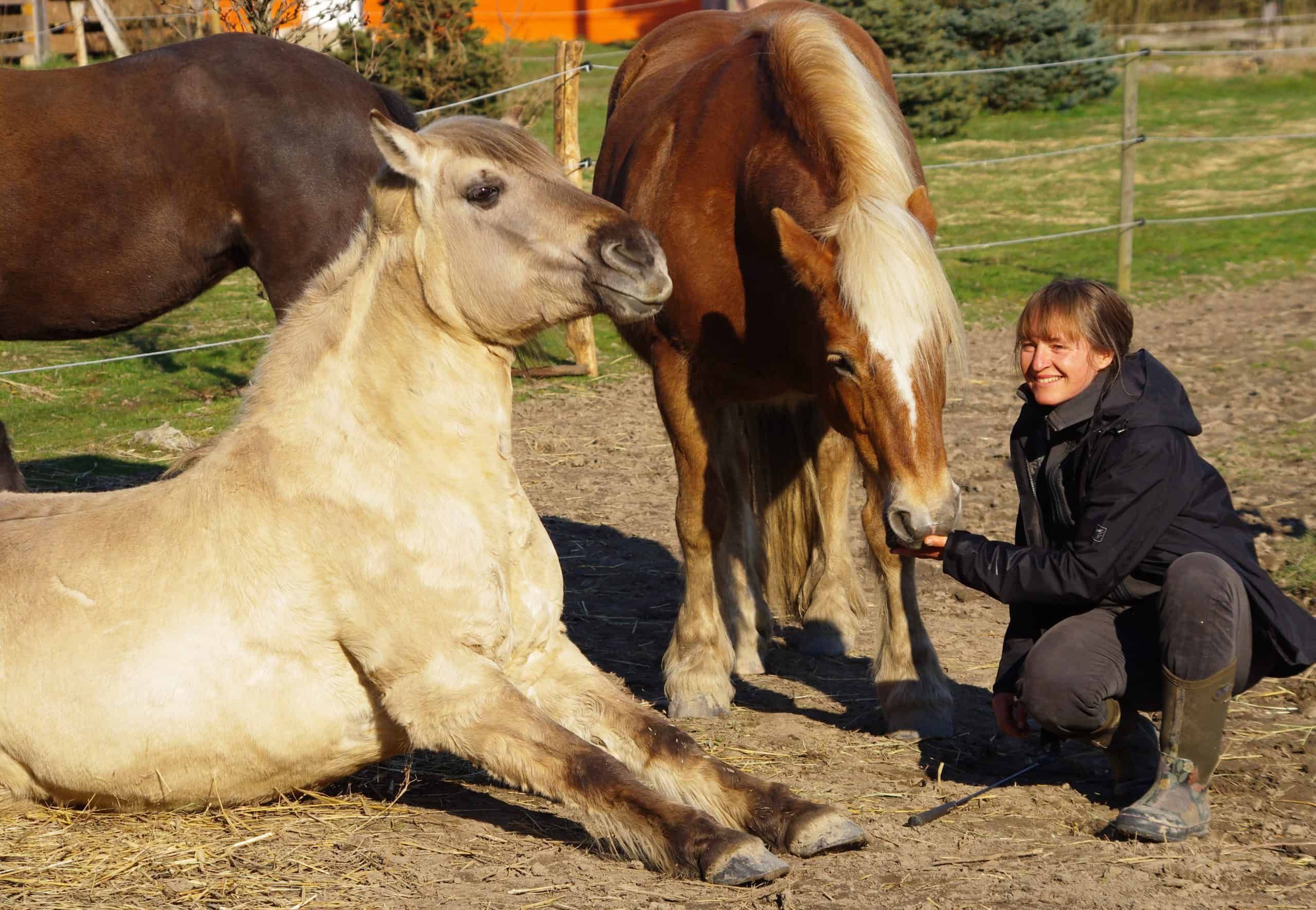 Cornelia Plänitz hockt auf der Koppel bei einem liegenden Pony